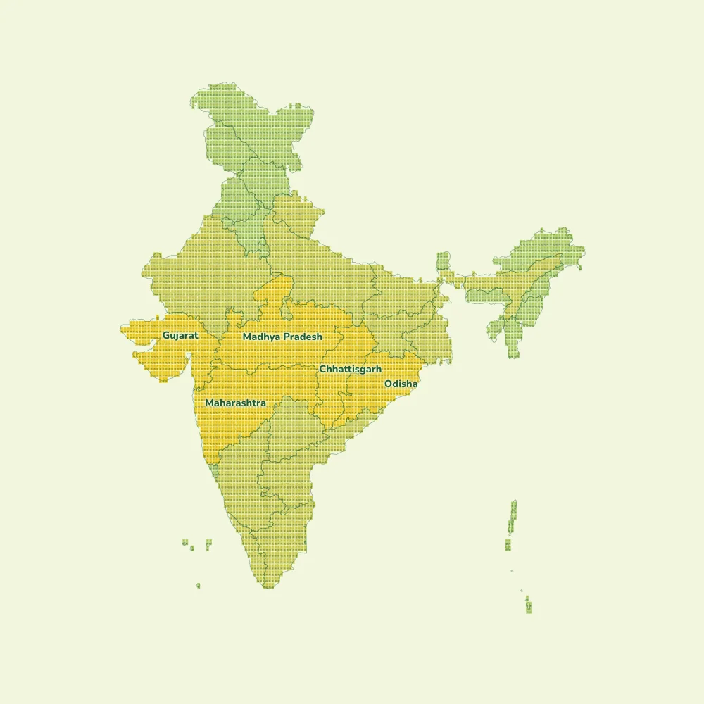 The map of India made of cards, seen from straight above, with state borders drawn on it and the states the chosen layer marks shown in yellow and named.