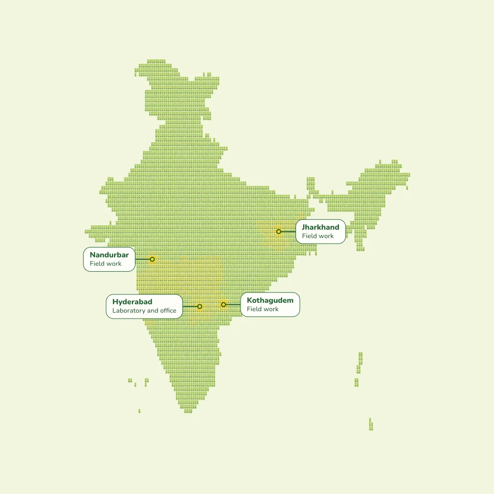 Thousands of cards laid out in the shape of India, seen from straight above. Four places are pinned and named: Hyderabad, our laboratory and office, and Nandurbar, Kothagudem and Jharkhand, where we have done field work.