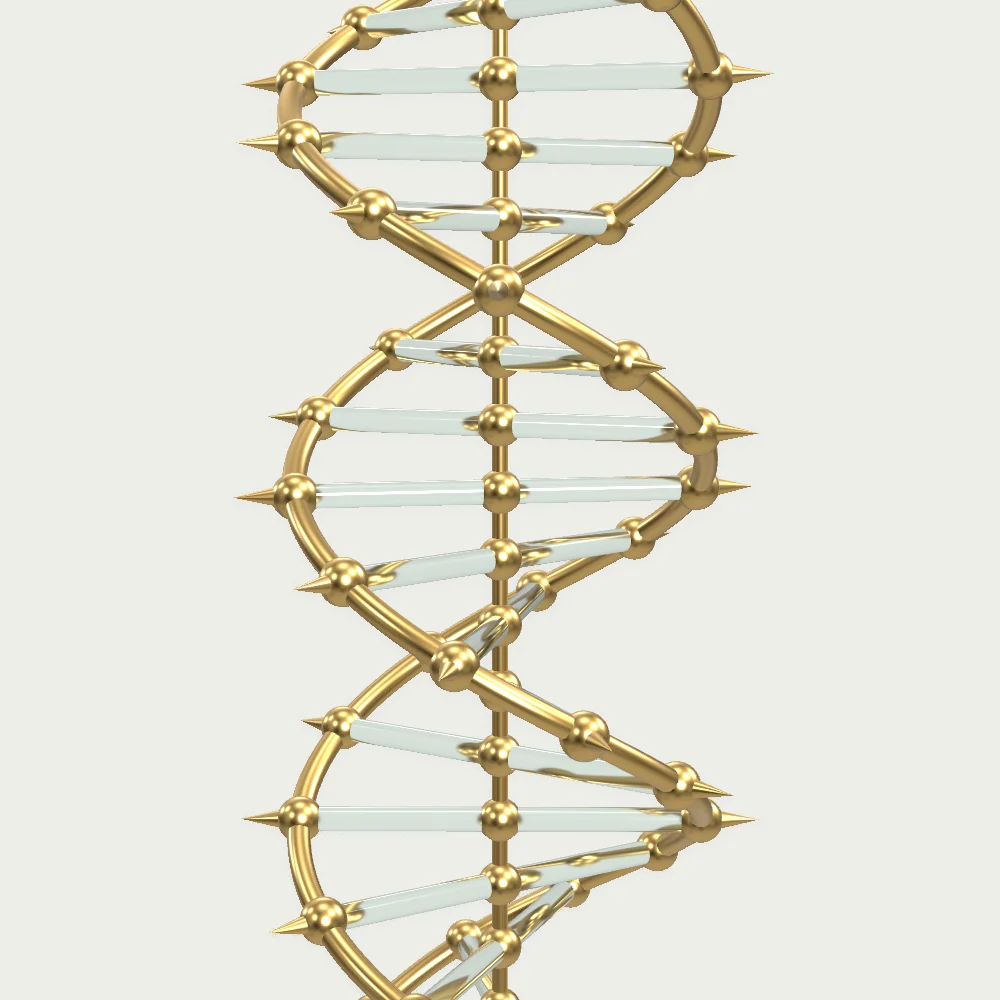 A model of a double helix seen from the side: two brass rails twisting round a central rod, joined by glass rungs with a brass bead at each end.