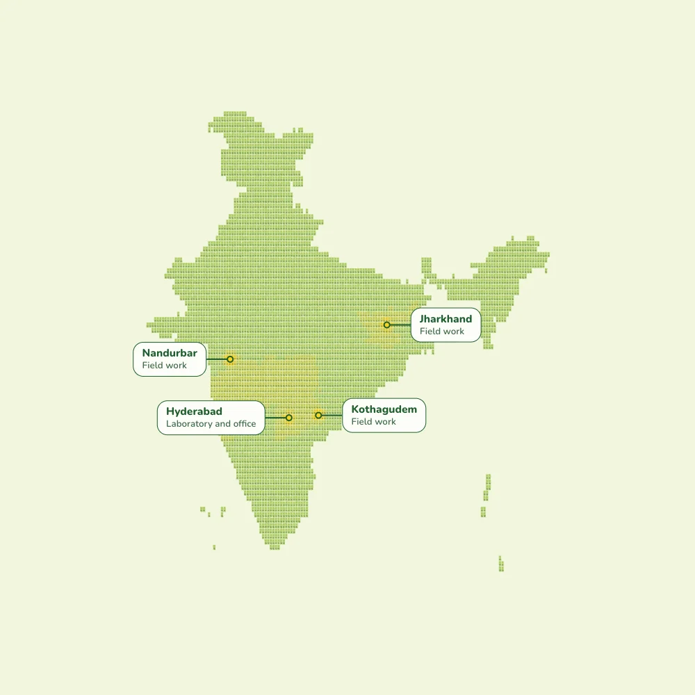 Thousands of cards laid out in the shape of India, seen from straight above. Four places are pinned and named: Hyderabad, our laboratory and office, and Nandurbar, Kothagudem and Jharkhand, where we have done field work.