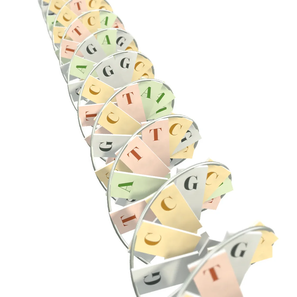 A model of a strand of DNA built from small card tiles, each printed with one of the letters A, T, G or C. The tiles climb round the strand like the steps of a spiral stair and fade into the distance.